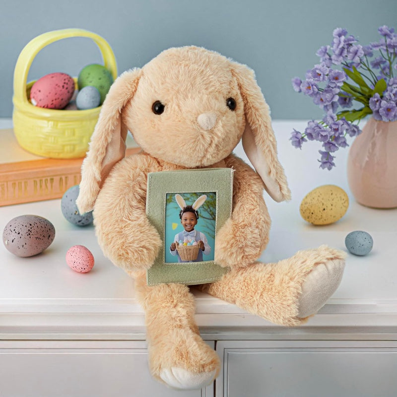 Plush Bunny with Picture Frame